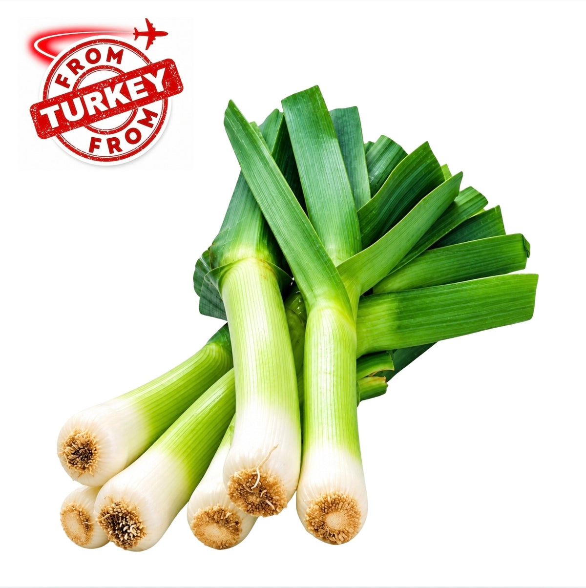 Fresh Leeks ( Pirasa ) 500g