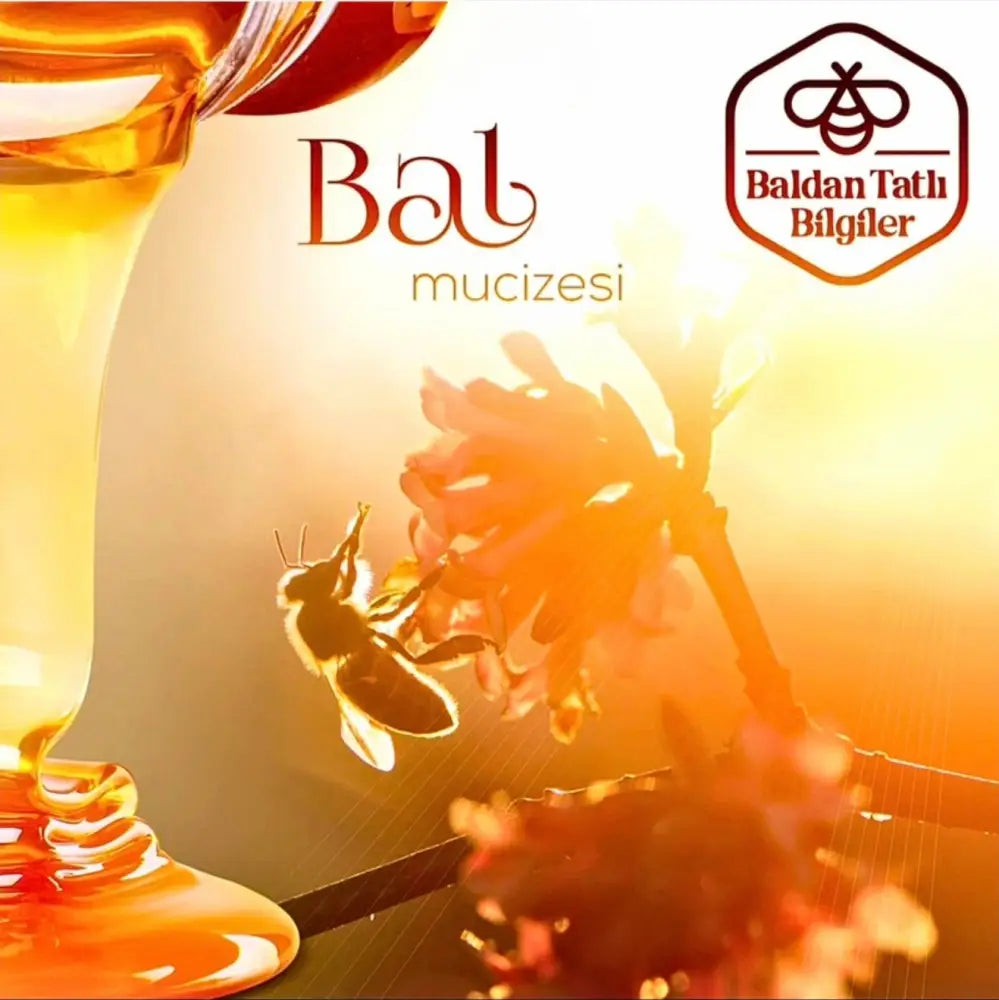 Amber Yayla Honey Comb 520g - Amber Yayla Honey Comb 520g
