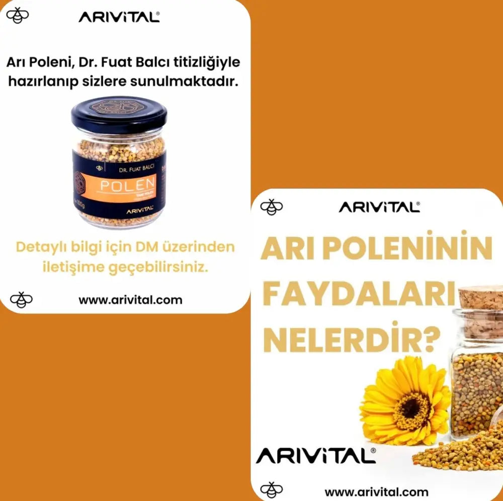Arıvital Polen 100g - Arıvital Polen