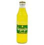 Beyoglu Mint Lemon Gazoz 250ml Beyoglu Mint Lemon Gazoz 250ml