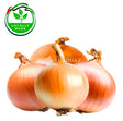 Brown Onion 1000g Brown Onion 1000g