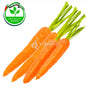 Carrot 500g Carrot 500g