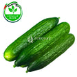 Cucumber 1000g Cucumber 1000g