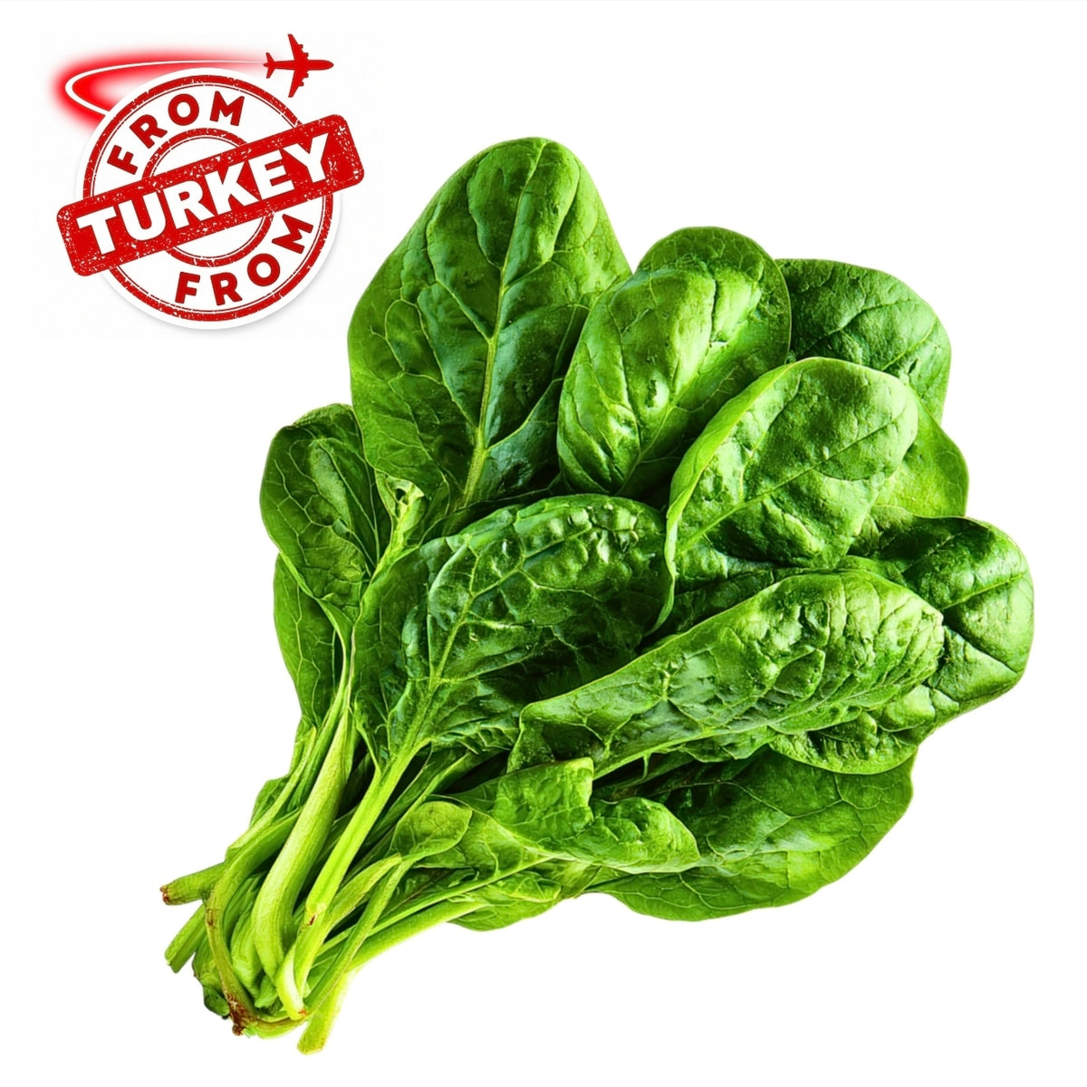 Spinach Leaves