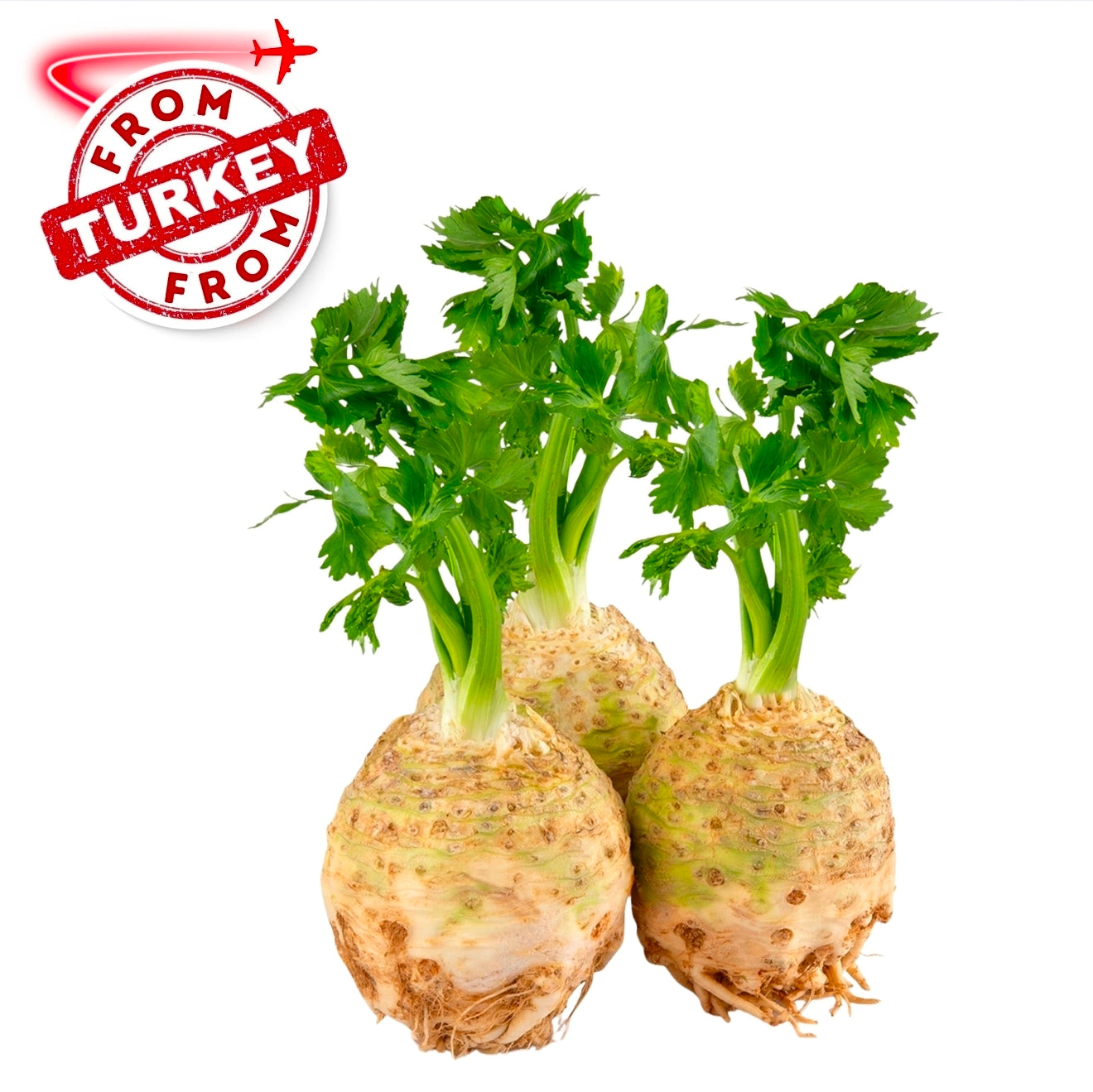Turkish Celery Root 500g