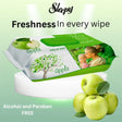 Sleepy Apple Care Baby 120 Pcs Wet Wipes - Sleepy Apple Care Baby 120 Wet Wipes